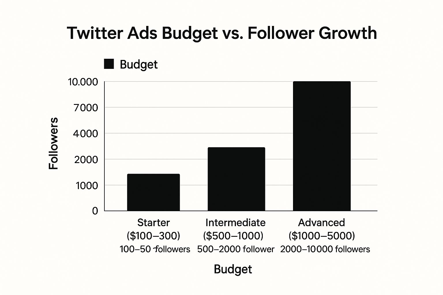 Infographic showing key data about Twitter Advertising Campaigns