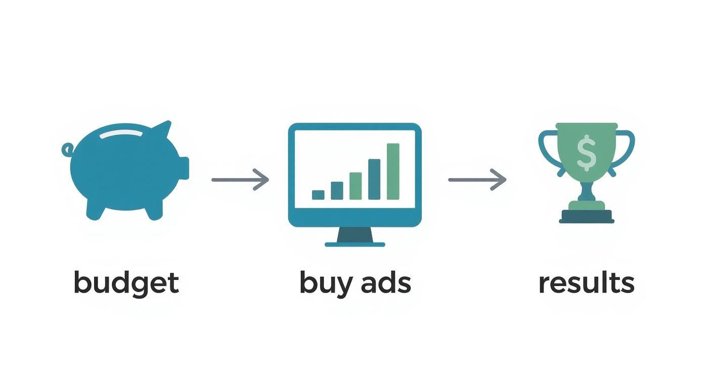 budget ,buy ads, results diagram