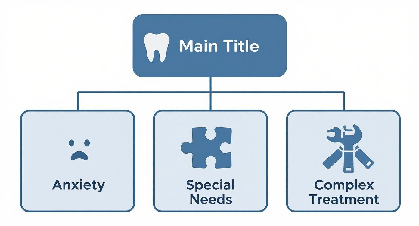An organizational chart showing dental care categories: Anxiety, Special Needs, and Complex Treatment, stemming from a main title.