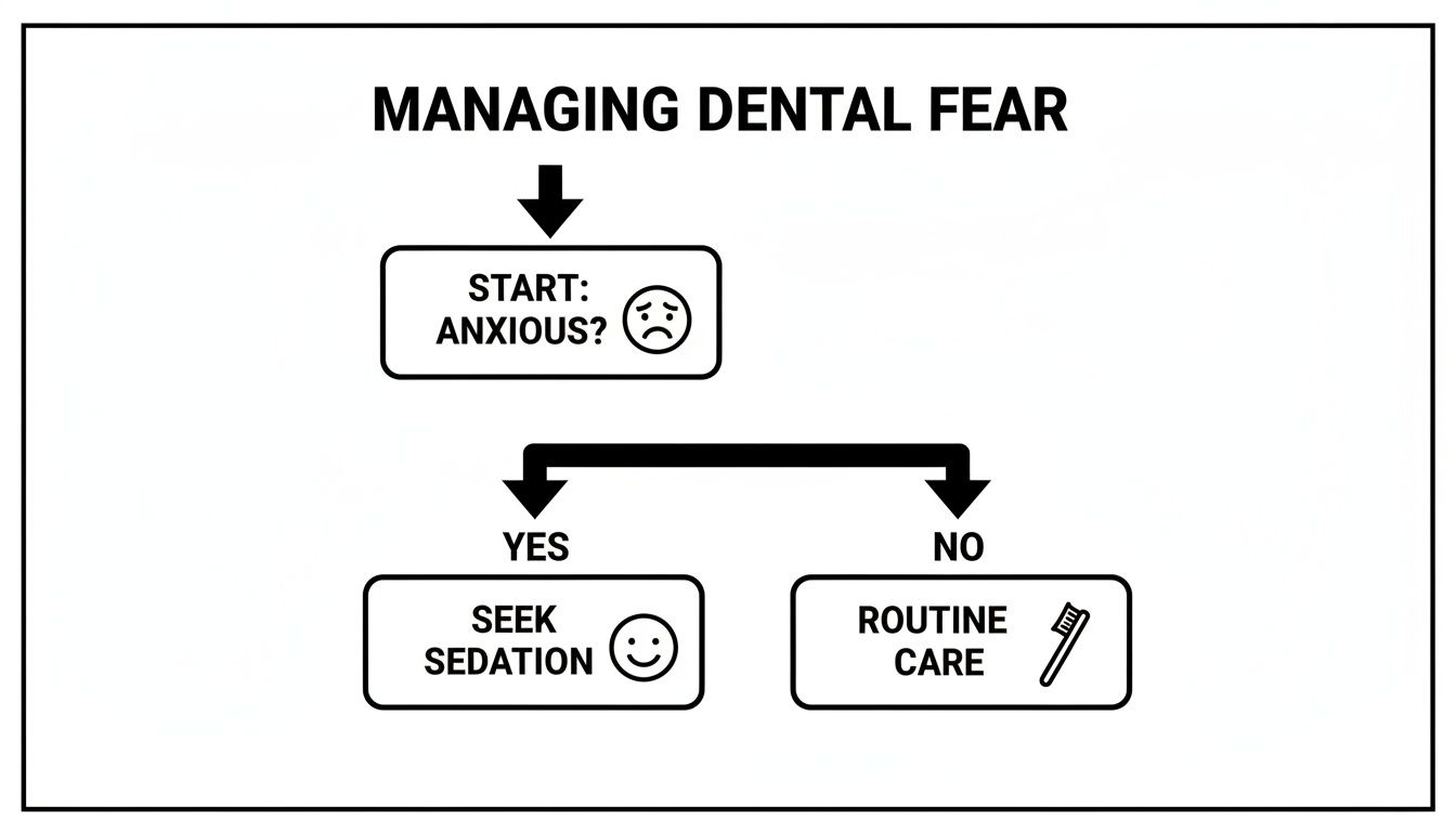 Flowchart detailing how to manage dental fear, guiding users to seek sedation if anxious or pursue routine care if not.