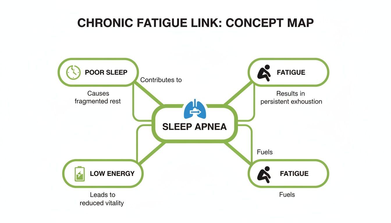Concept map illustrating the links between sleep apnea, poor sleep, fatigue, and low energy.