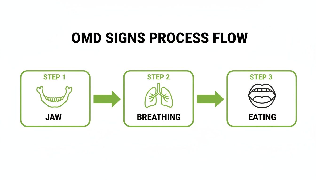 A three-step process flow illustrating OMD signs for jaw, breathing, and eating with icons.