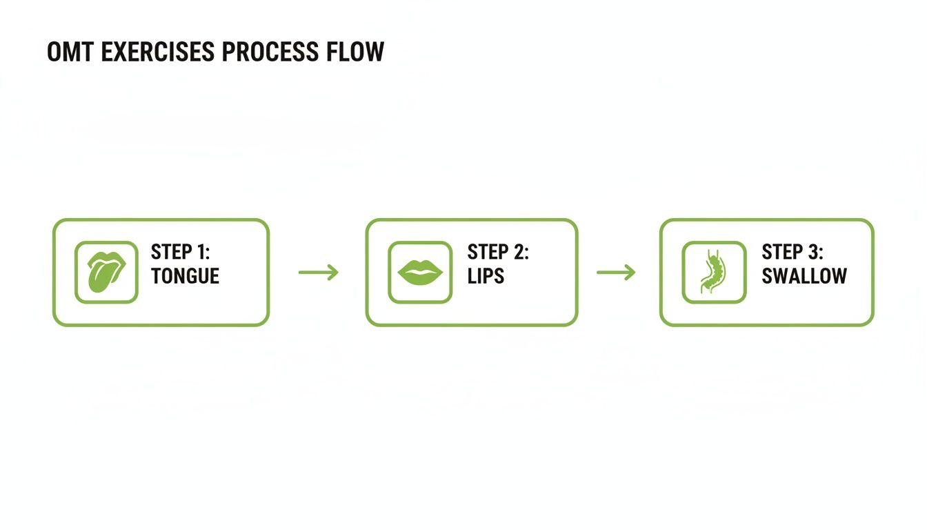 Process flow diagram illustrating Orofacial Myofunctional Therapy (OMT) exercises for tongue, lips, and swallowing.