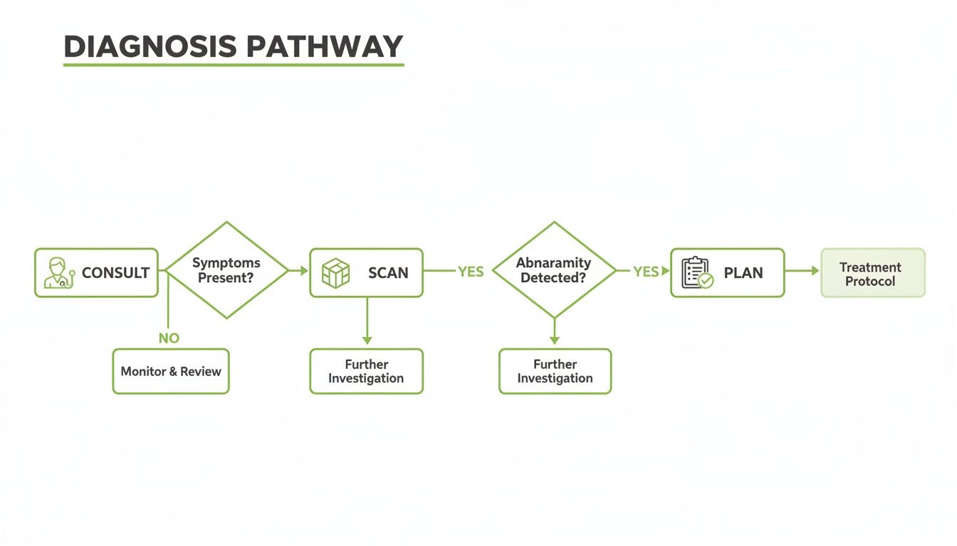Flowchart illustrating a medical diagnosis pathway from consult through scanning to treatment protocol.