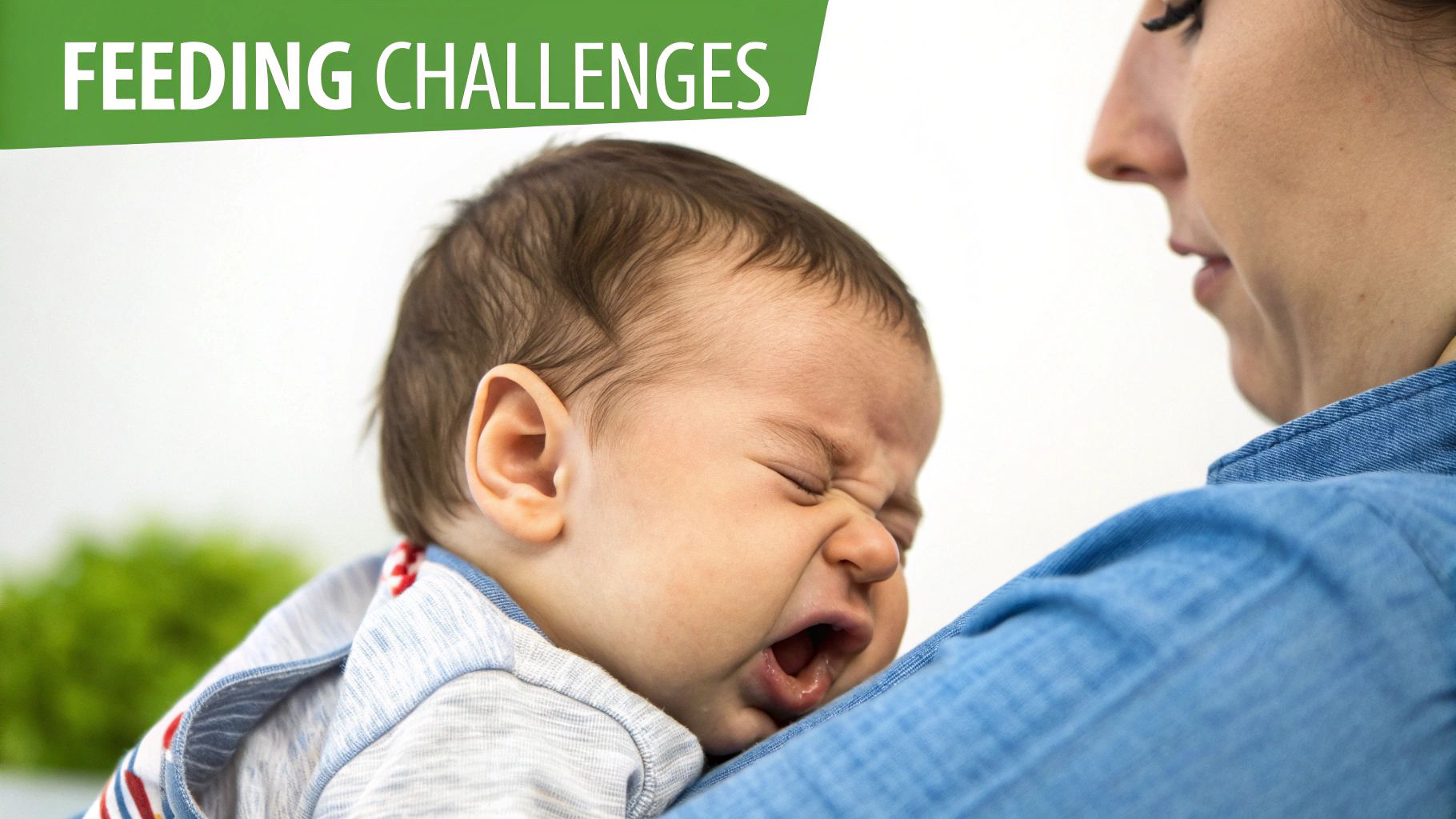 A distressed baby cries loudly in a mother's arms, indicating feeding challenges.