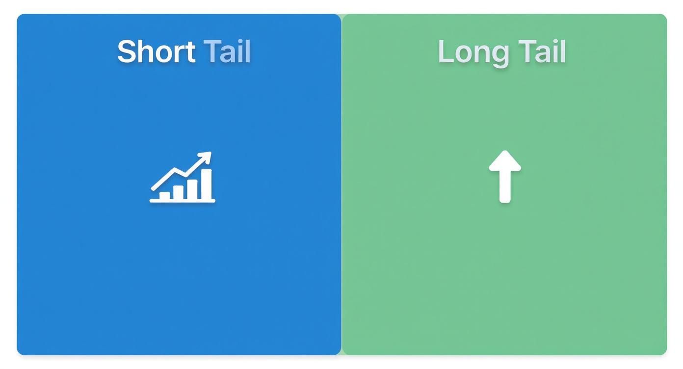 Blauw paneel 'Short Tail' met grafiek, groen paneel 'Long Tail' met pijl omhoog, illustreert zoekwoordstrategieën.