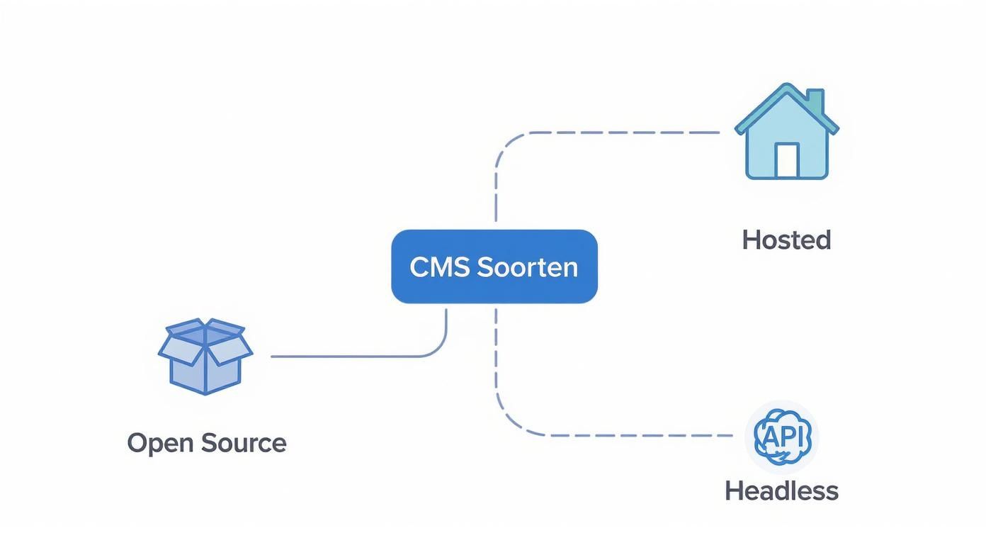Infographic about cms voor website