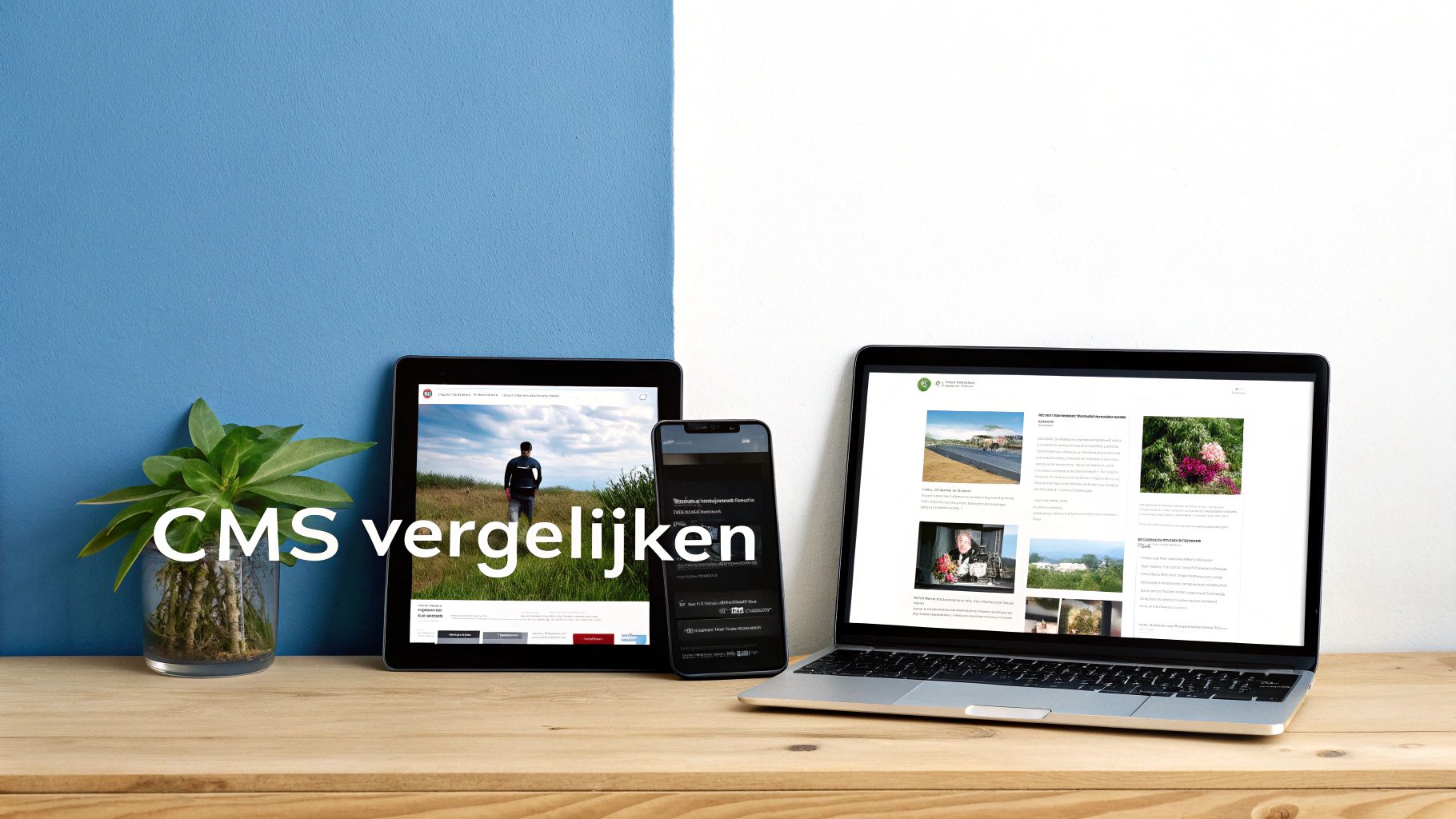 Verschillende logo's van populaire CMS platformen zoals WordPress, Shopify en Wix