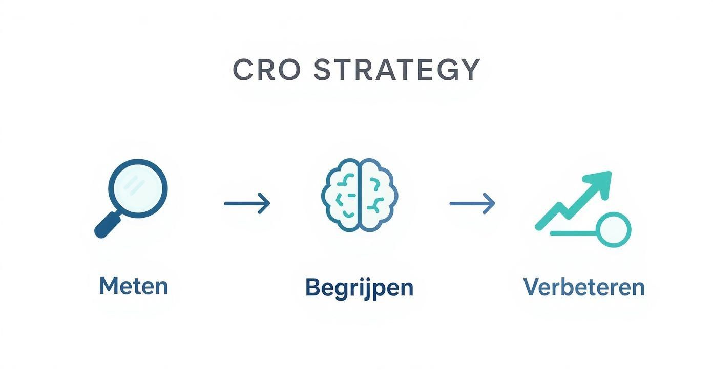 Infographic about conversie optimalisatie website