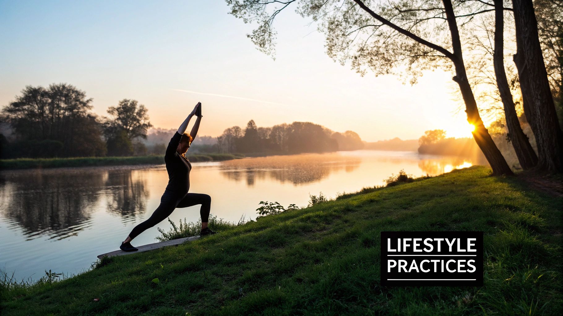 A doctor and an Ayurvedic practitioner collaborating over a patient's chart, symbolizing integrative care.