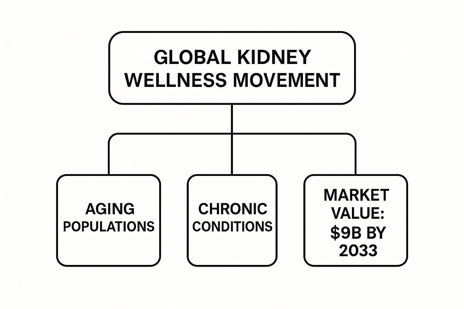 Infographic about natural kidney health supplements