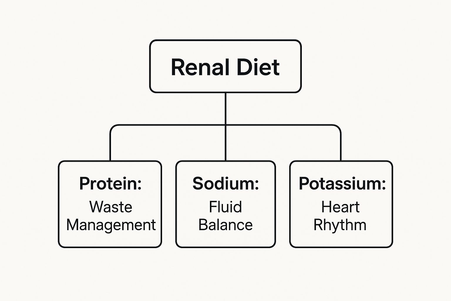 Infographic about diet for chronic kidney disease