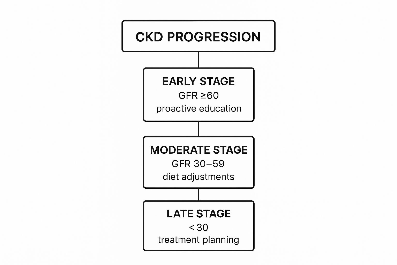Infographic about patient education for chronic kidney disease