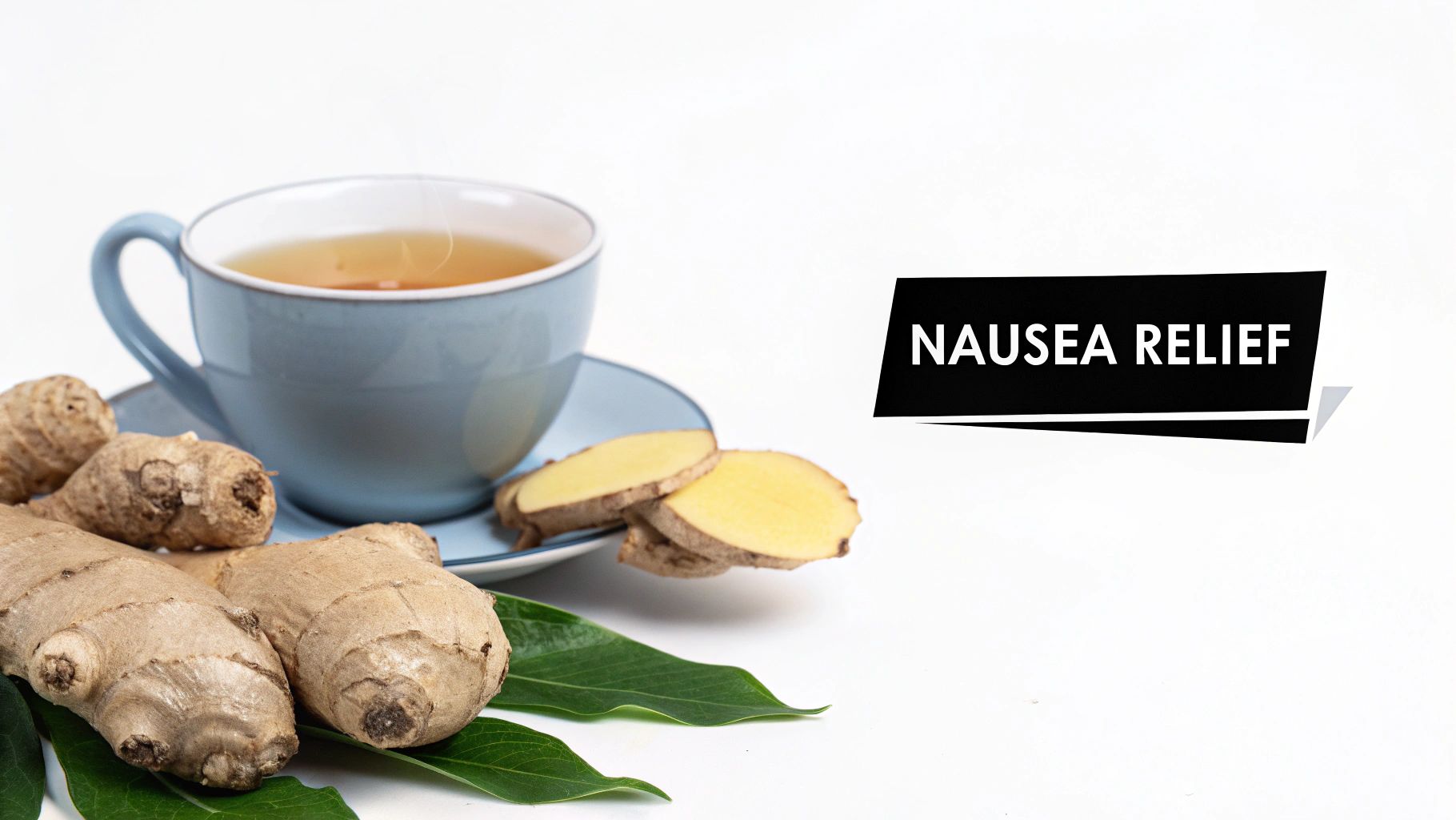 Ginger (Zingiber officinale)