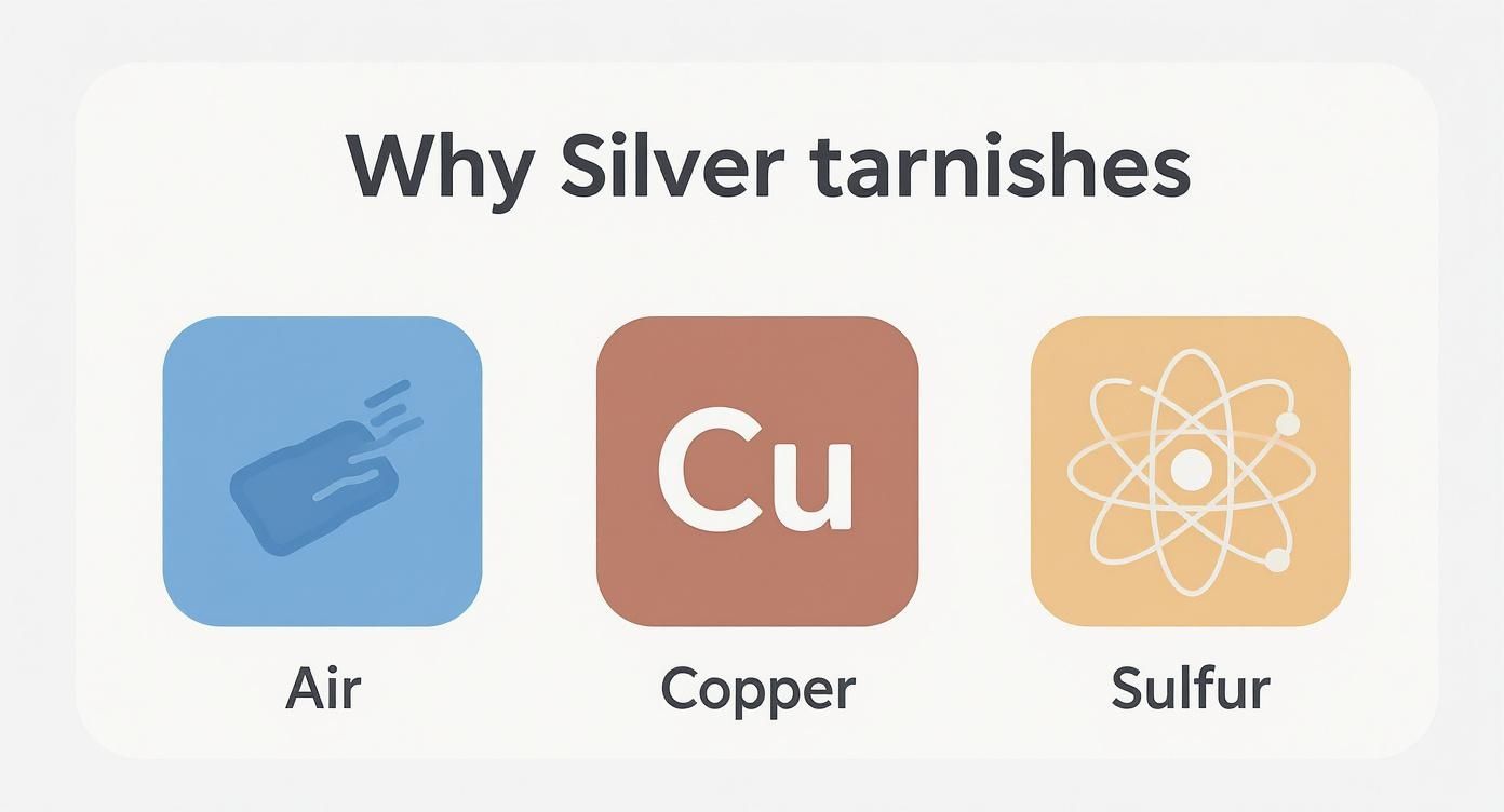 Infographic about how to care for sterling silver