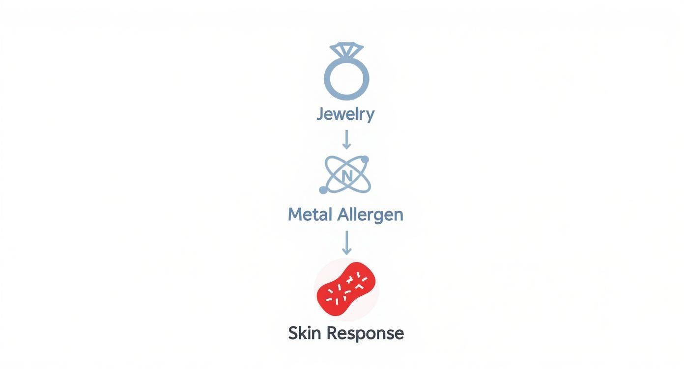 Infographic about best jewelry for sensitive skin