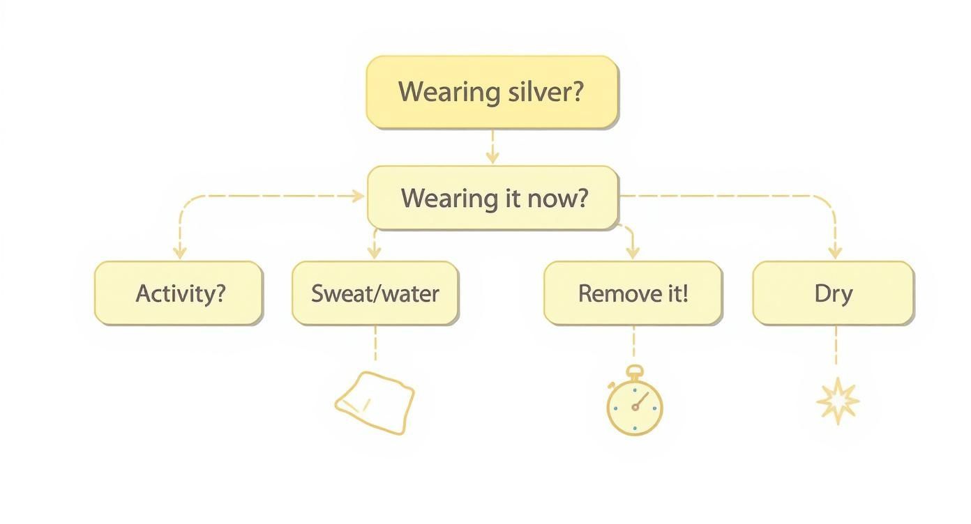 Infographic about how to prevent silver from tarnishing