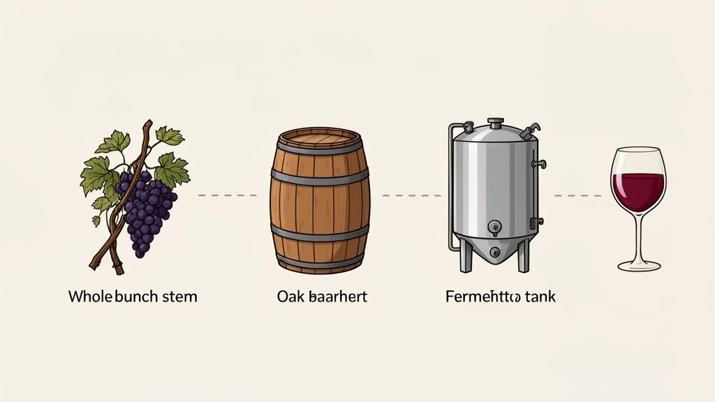 A visual guide illustrating the winemaking process: grapes, an oak barrel, a fermentation tank, and a glass of red wine.