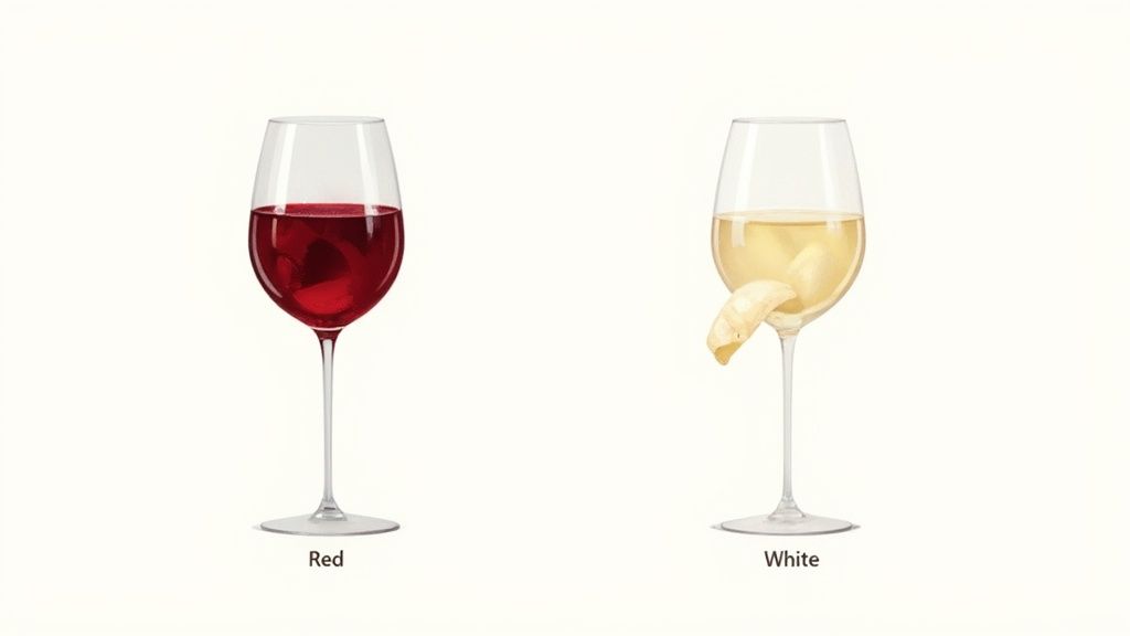 Two glasses, one with red wine and one with white wine, sitting on a wooden table.