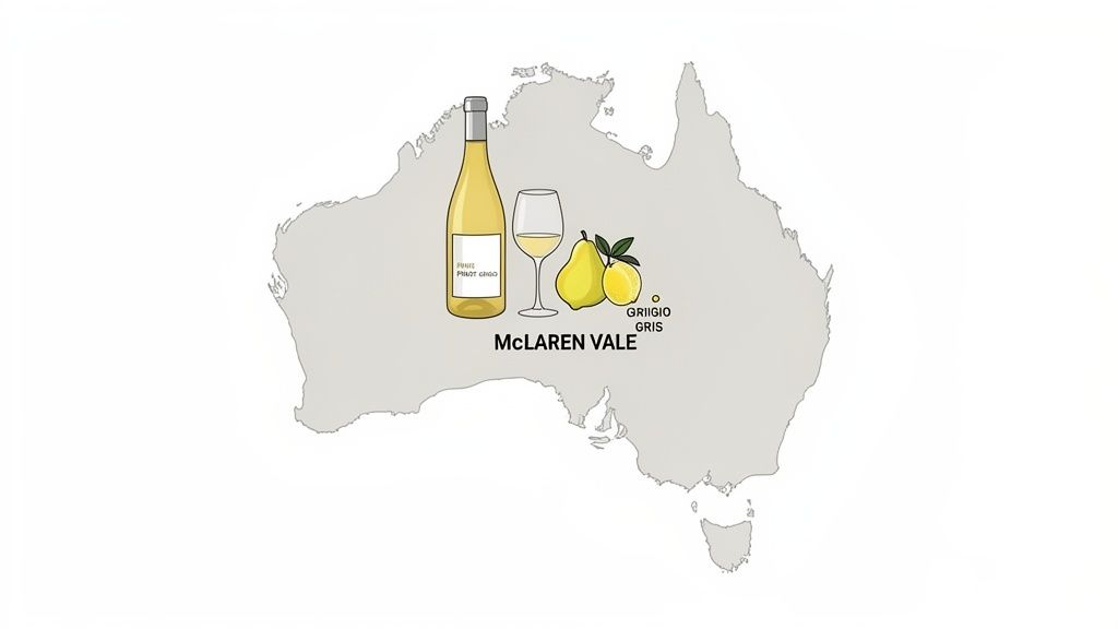 Australian map featuring a Pinot Grigio wine bottle, a glass, pears, and the McLaren Vale region.
