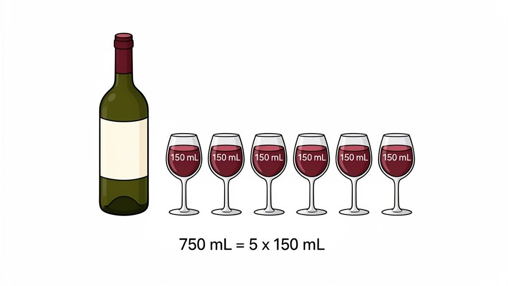 A green wine bottle alongside five glasses, each filled with 150 mL of red wine.