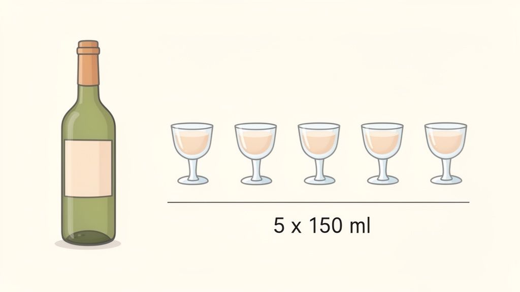 An illustration of a green wine bottle next to five glasses, each filled with 150 ml of wine.