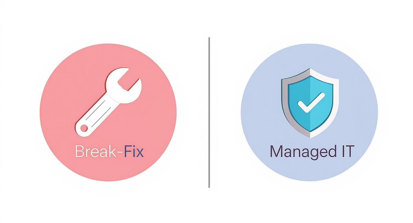 Infographic about managed it services hamilton