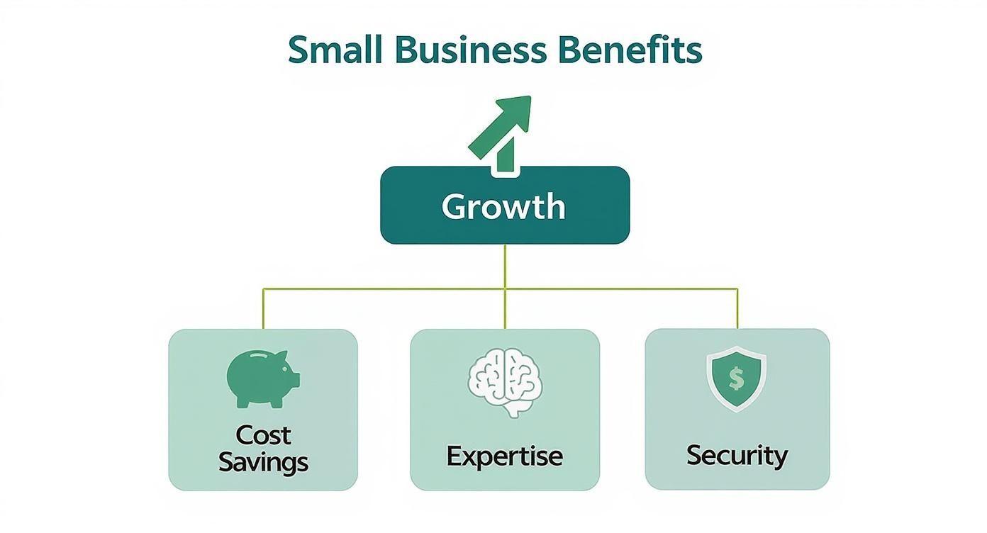 Infographic showing that cost savings, expertise, and security all contribute to small business growth through managed IT services.