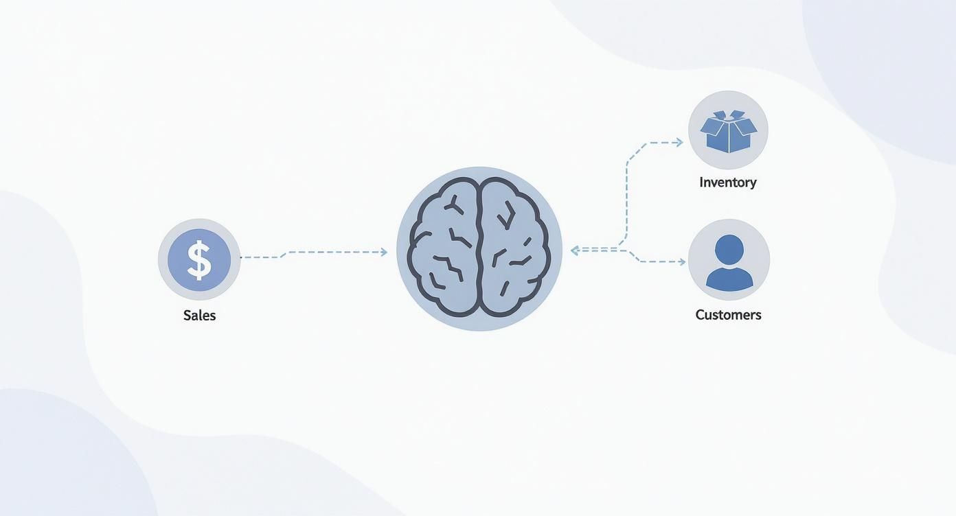Infographic about what is a pos system