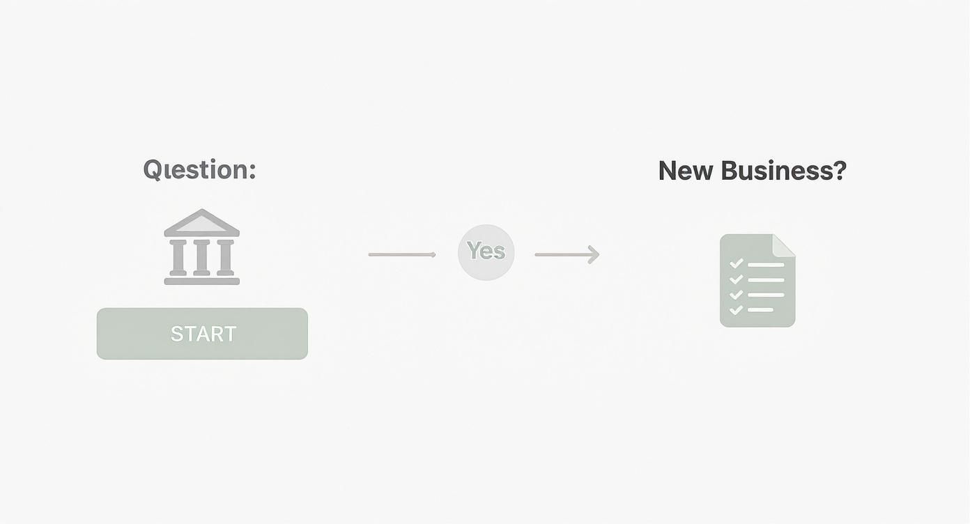 Infographic about how to track business expenses