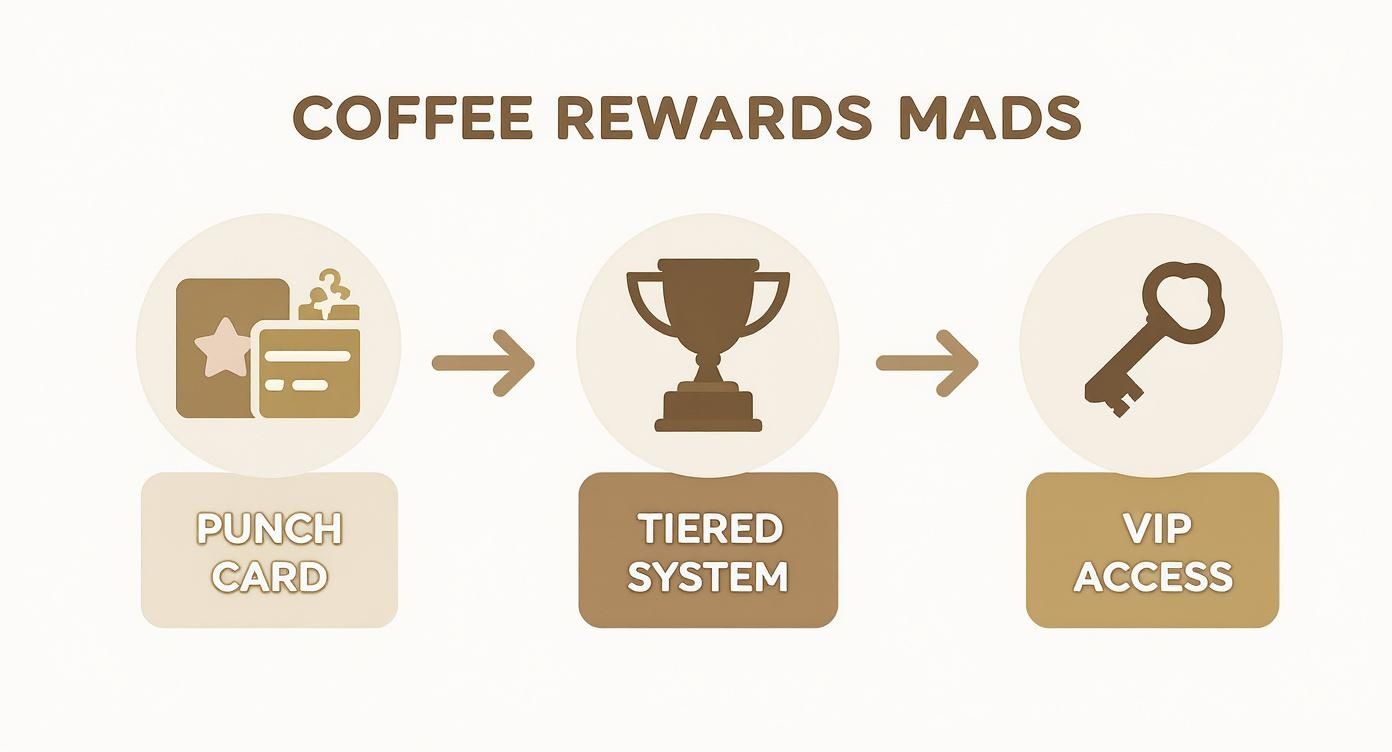 Infographic about coffee shop loyalty program