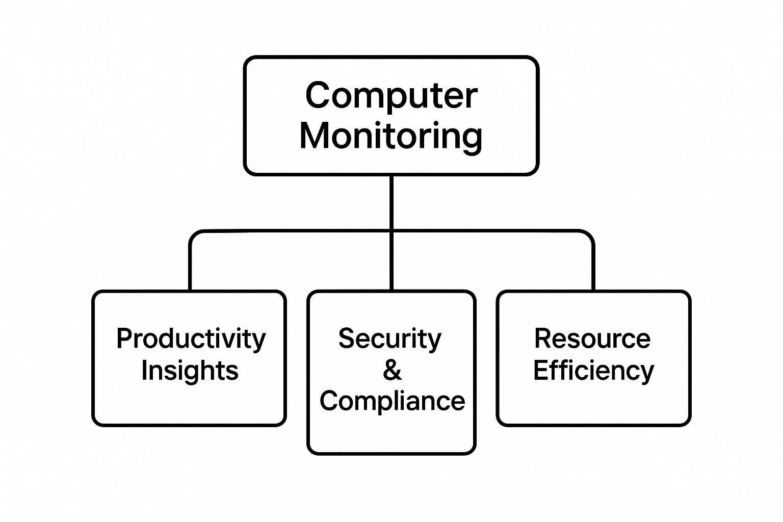 Infographic about computer monitoring definition