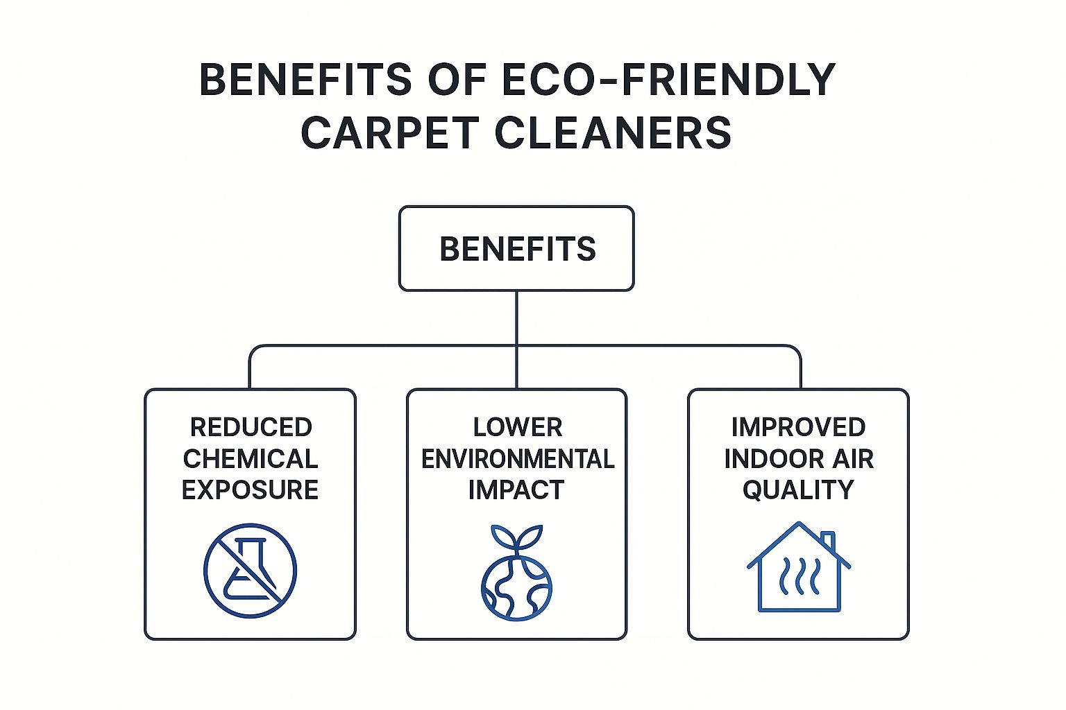 Infographic about eco friendly carpet cleaners