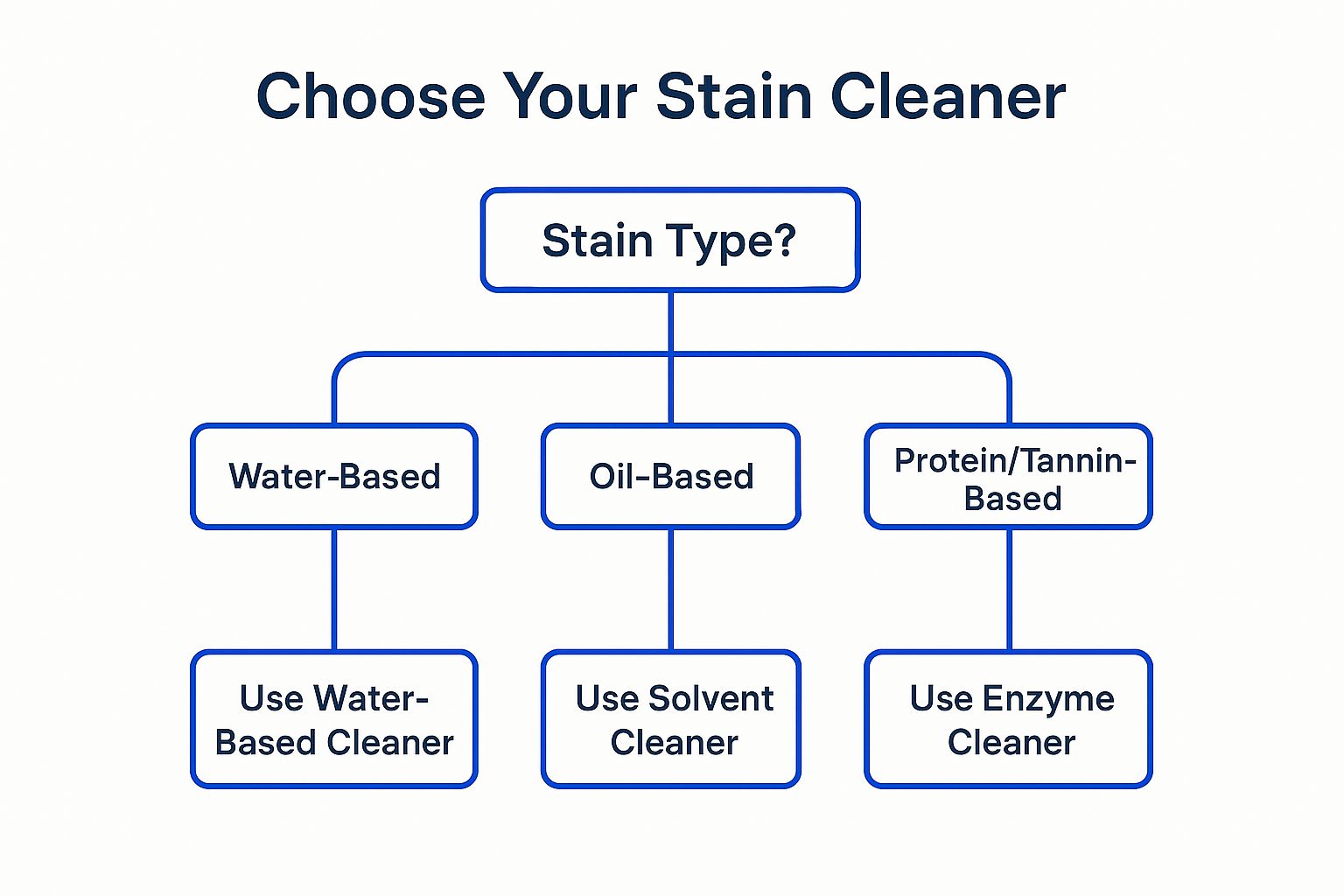 Infographic showing key data about Use the Correct Cleaning Solutions for Stain Types