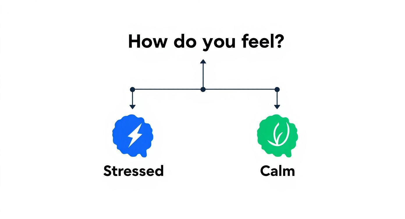An infographic decision tree showing tips for how to reset your nervous system based on your current emotional state.