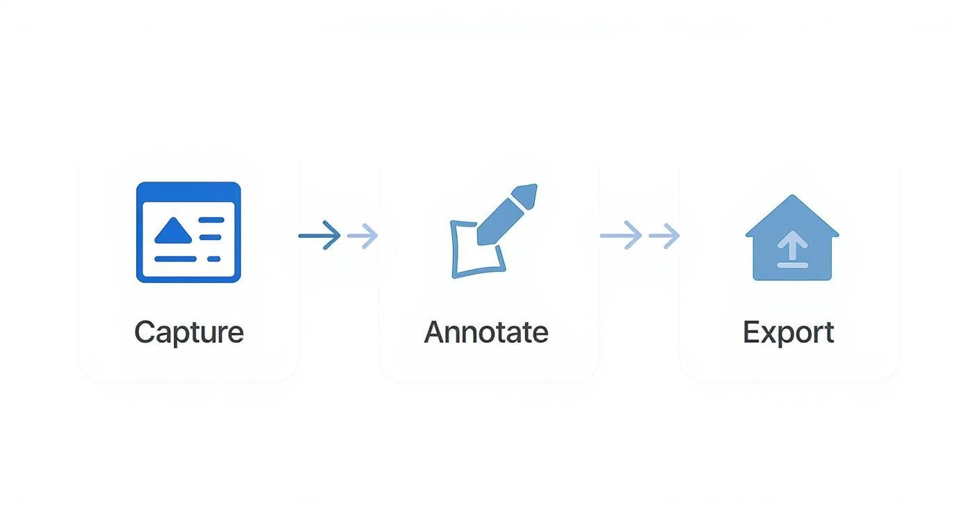 Infographic about what is visual learning