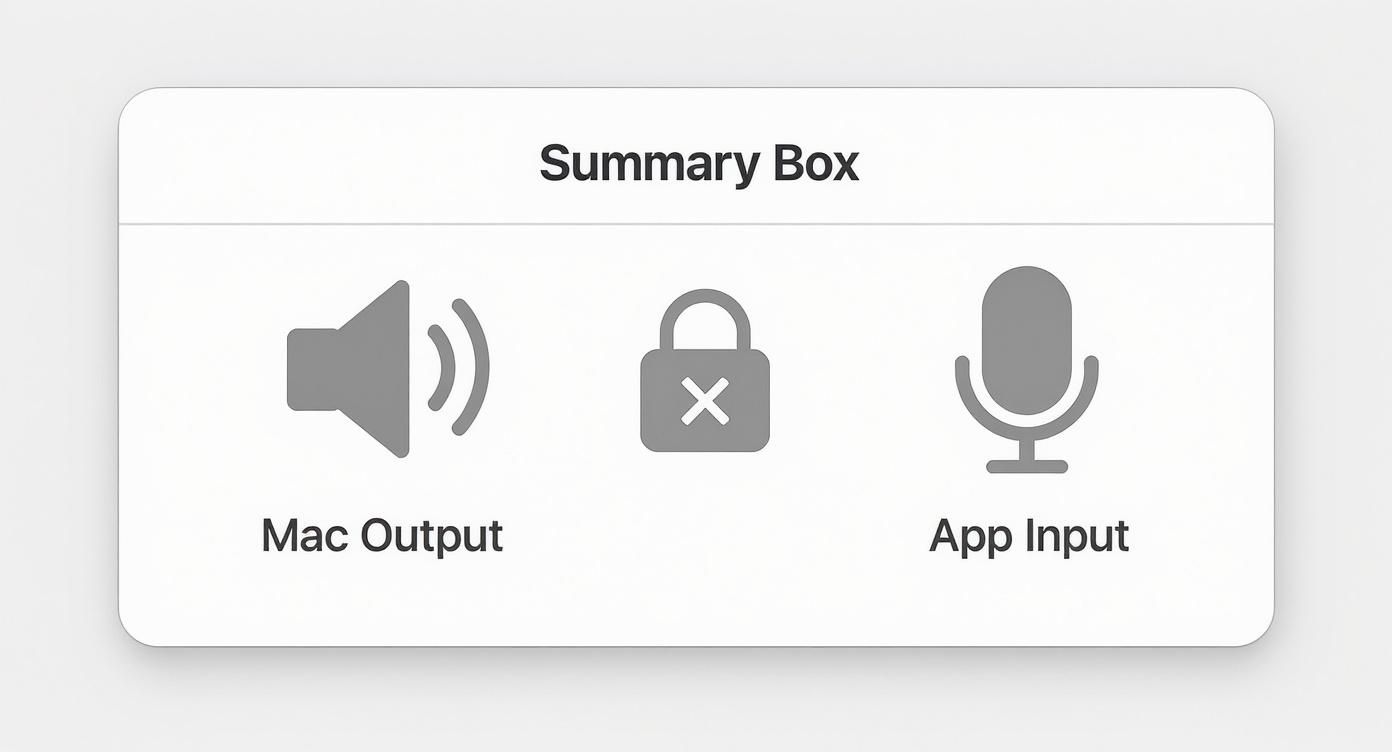 Infographic about best screen recorder for mac with audio