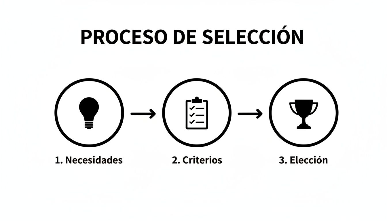 Diagrama del proceso de selección con tres pasos: necesidades, criterios y elección, representados por iconos.