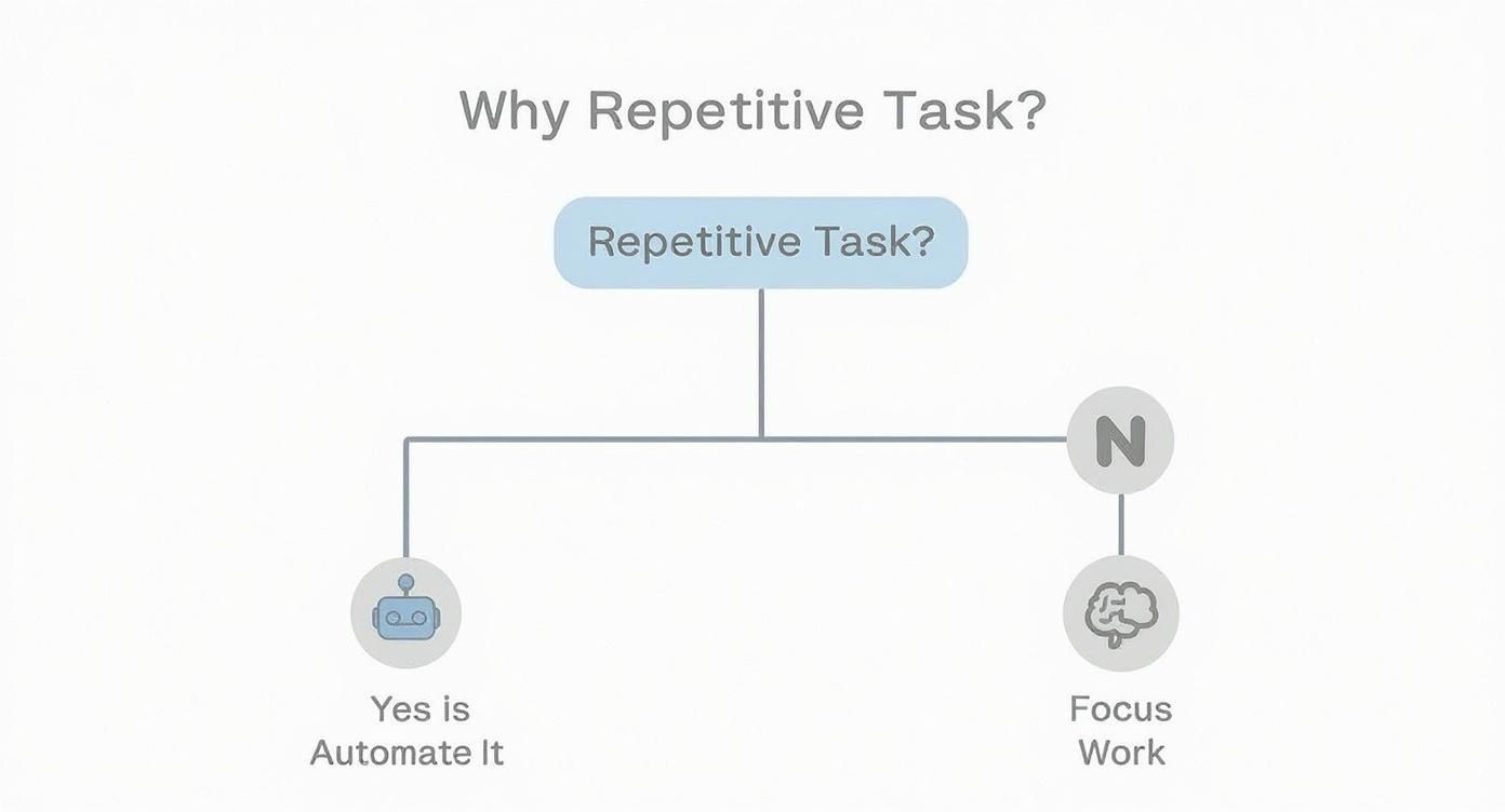 Infographic about how to automate repetitive tasks