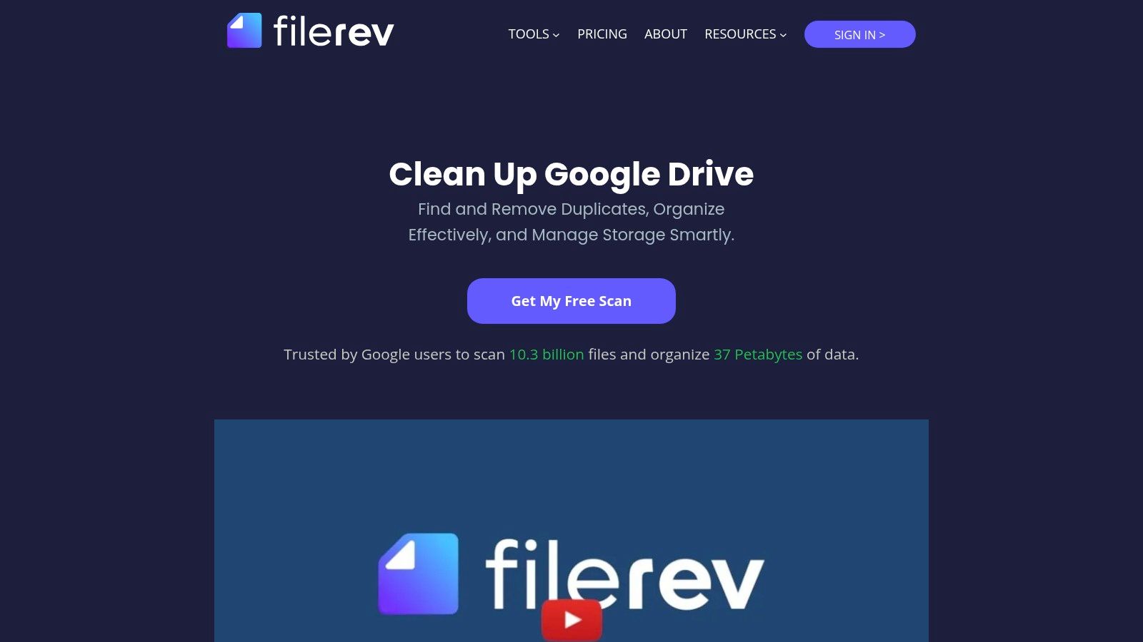 Filerev dashboard showing a breakdown of Google Drive storage by file type