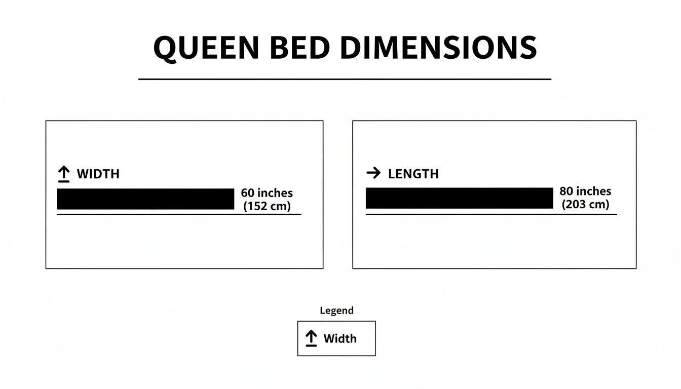 Diagram illustrating queen bed dimensions, showing 60 inches (152 cm) width and 80 inches (203 cm) length.
