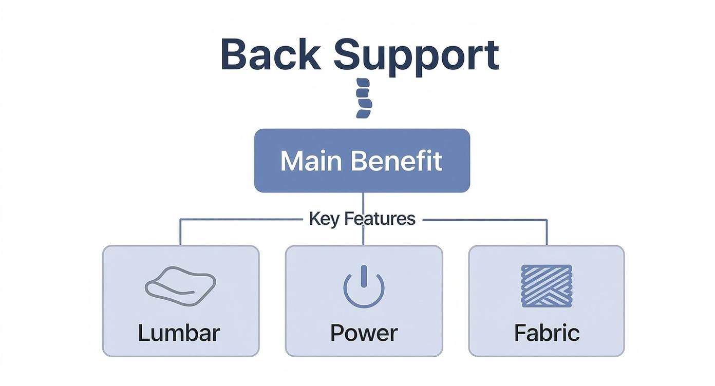 Infographic showing a hierarchy diagram for back support recliners, with spine health at the top, key features like lumbar and power in the middle, and material choice at the bottom.