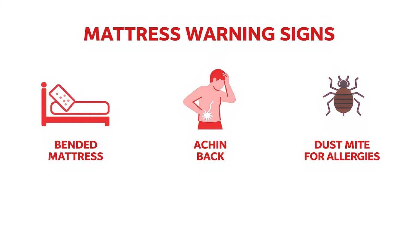 Infographic about when to replace your mattress