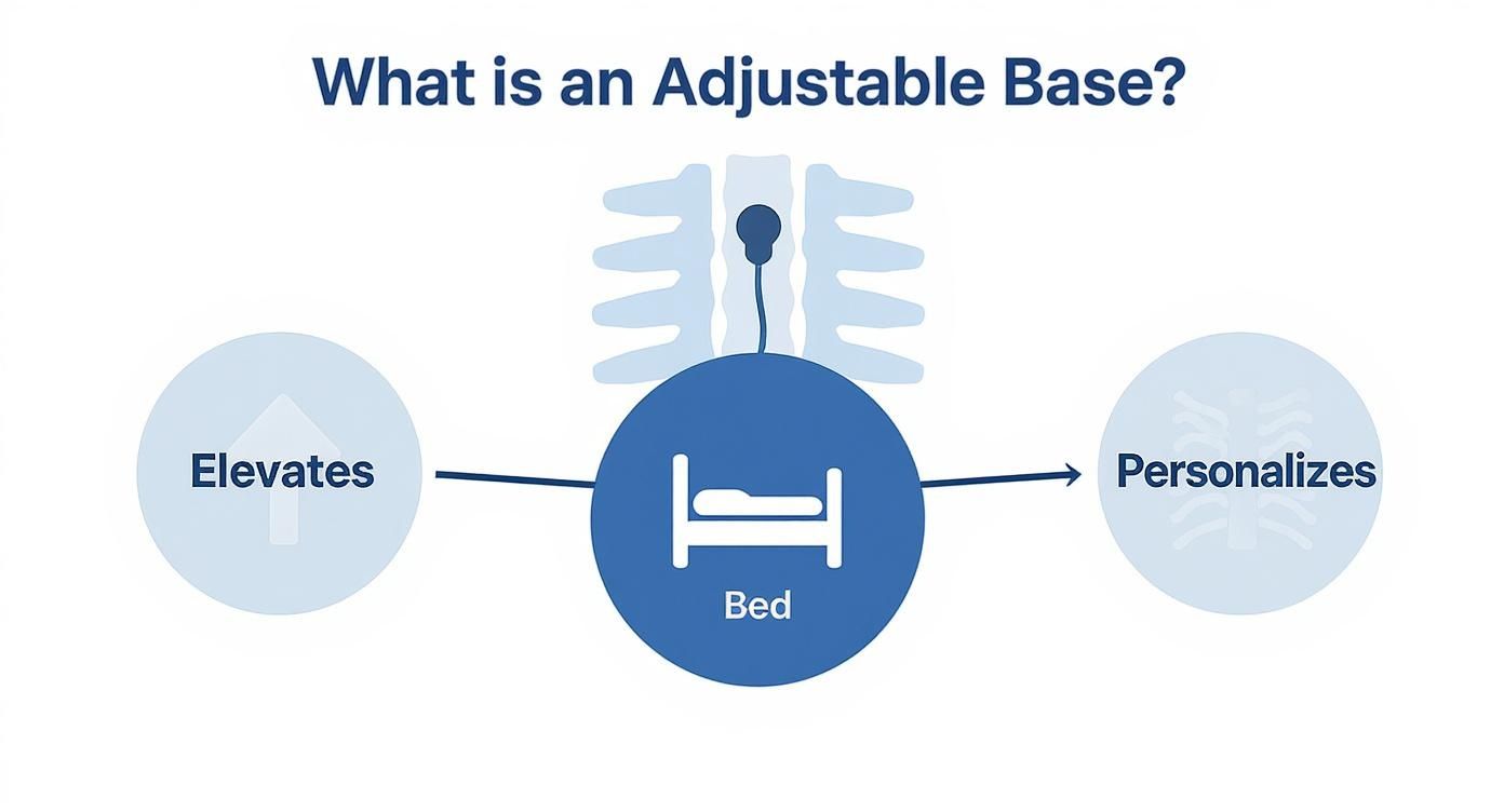 Infographic about what is an adjustable base bed
