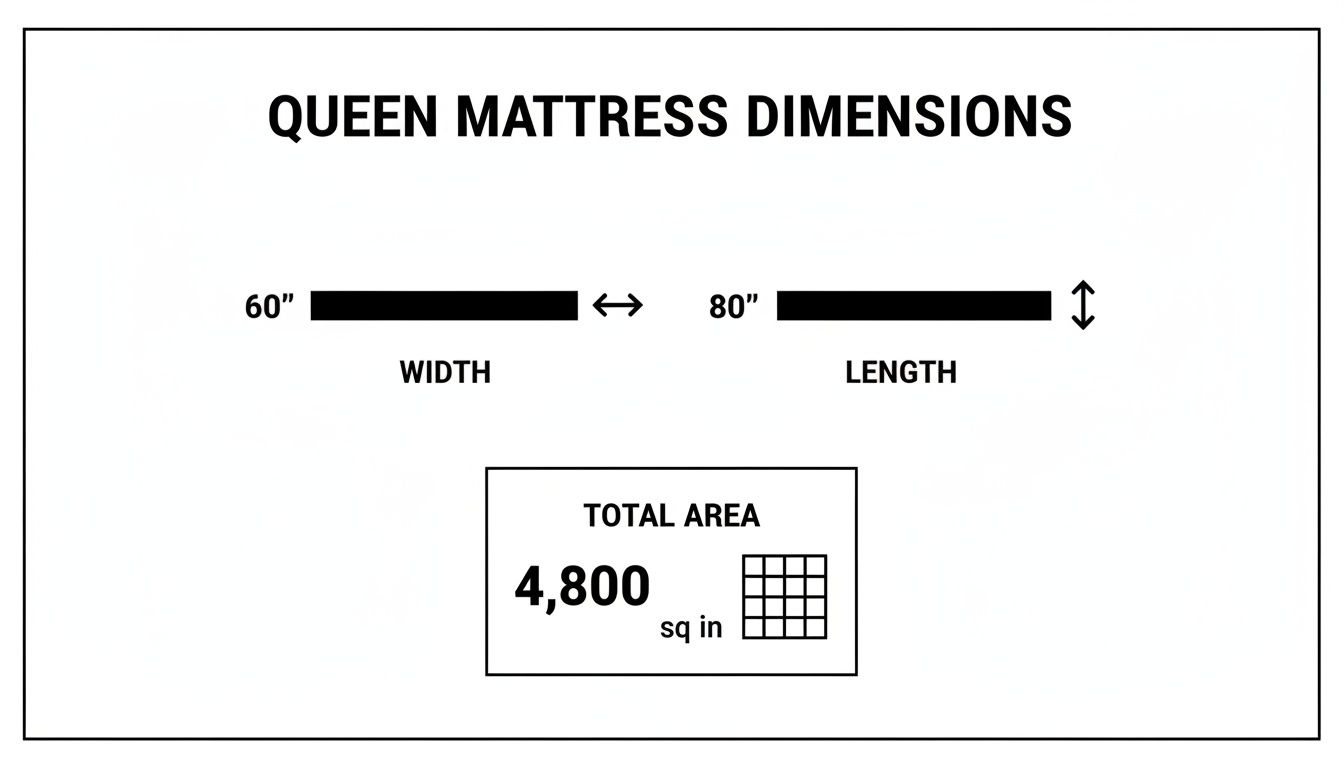 Queen mattress dimensions showing width 60 inches, length 80 inches, and total area 4,800 square inches.