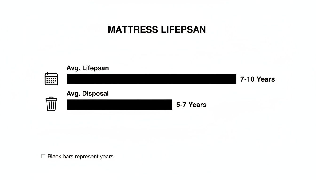 A chart illustrating mattress lifespan, showing average lifespan is 7-10 years and average disposal is 5-7 years.