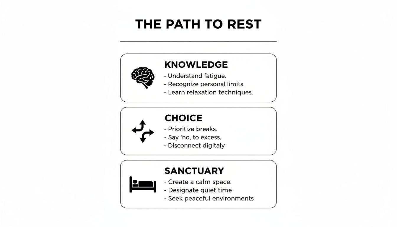 A diagram illustrating 'The Path to Rest' with three key steps: Knowledge, Choice, and Sanctuary, offering practical tips.