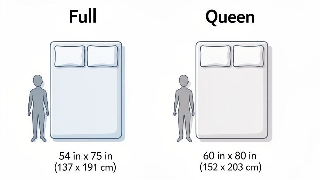 Comparison of Full and Queen size bed dimensions, showing a person for scale and measurements in inches and centimeters.