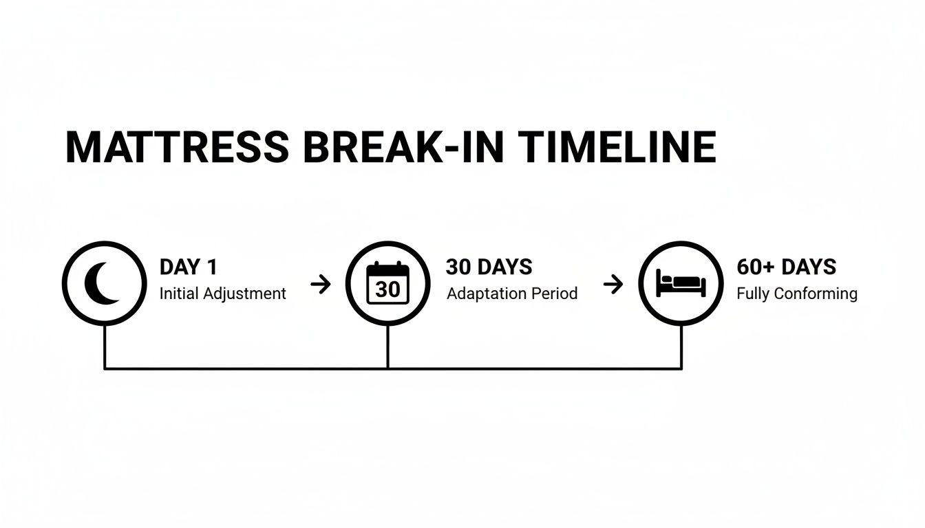 Timeline showing the mattress break-in process: Day 1 initial adjustment, 30 days adaptation, and 60+ days fully conforming.