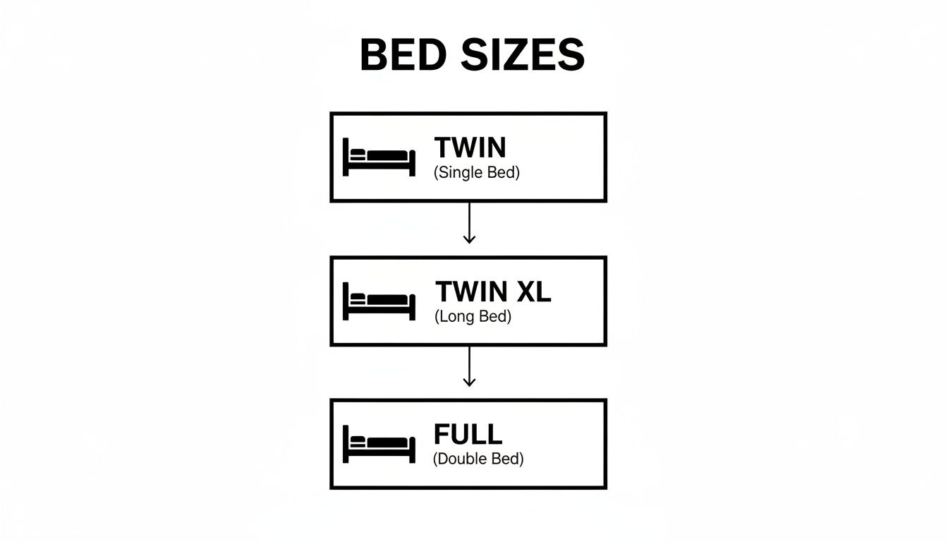 Flowchart illustrating bed sizes: Twin (Single Bed), Twin XL (Long Bed), and Full (Double Bed).